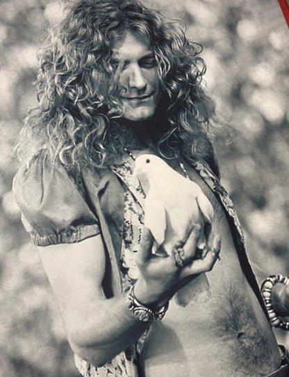 ROBERT PLANT - LED ZEPPELIN - Symbios Design Rare Glossy Poster Print
