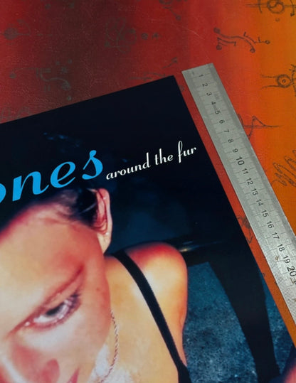 DEFTONES - AROUND THE FUR - Symbios Design Rare Glossy Poster Print