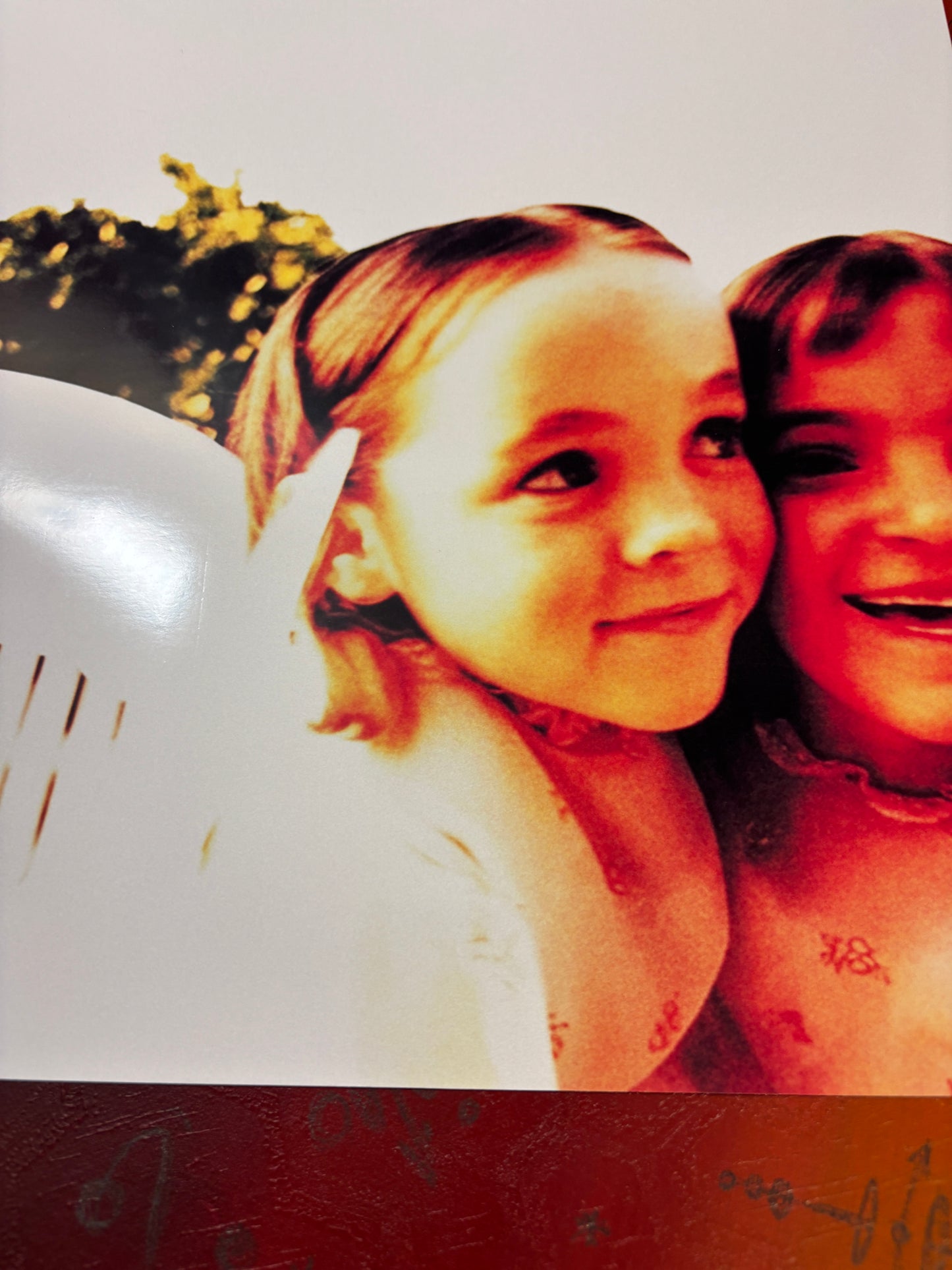 SMASHING PUMPKINS - SIAMESE DREAM - Symbios Design Rare Glossy Poster Print