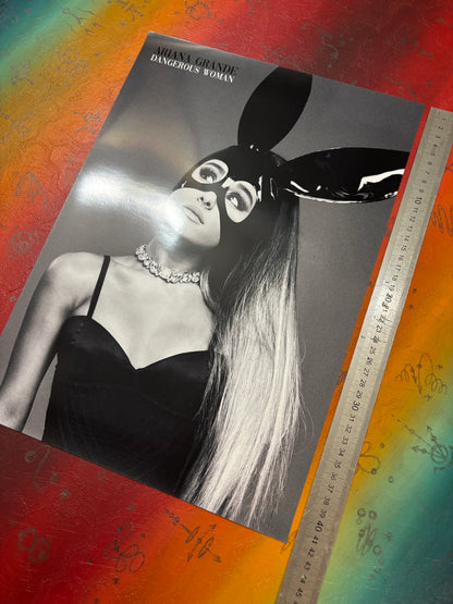 ARIANA GRANDE - Symbios Design Rare Glossy Poster Print
