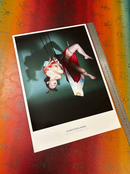 ARAKI I - Symbios Design Rare Glossy Poster Print