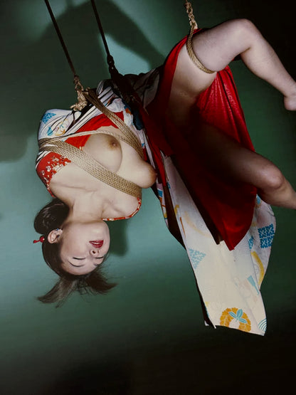 ARAKI I - Symbios Design Rare Glossy Poster Print