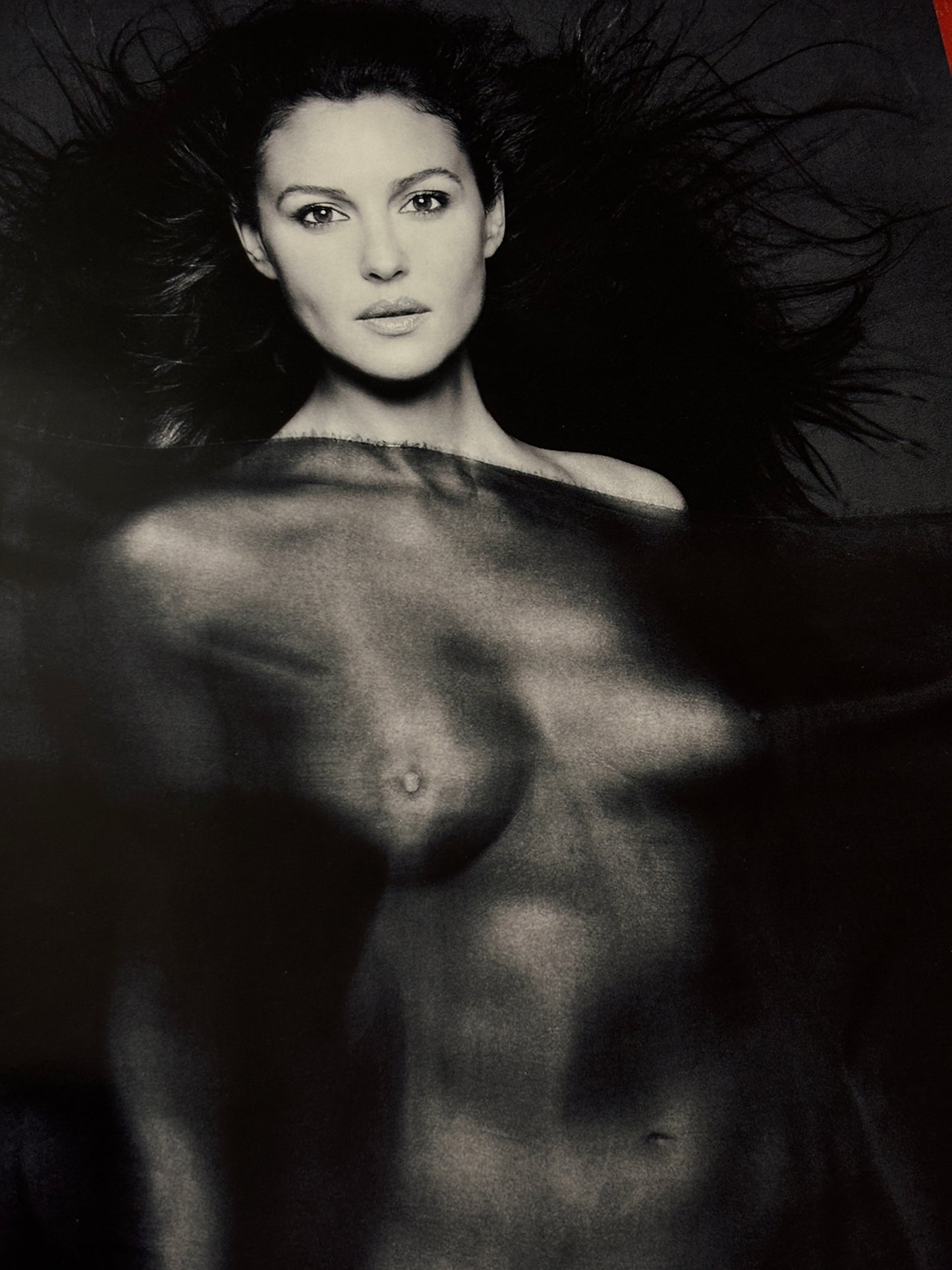MONICA BELLUCCI - Symbios Design Rare Glossy Poster Print