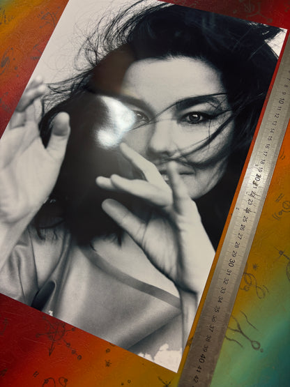 BJORK - PORTRAIT  - Symbios Design Rare Glossy Poster Print