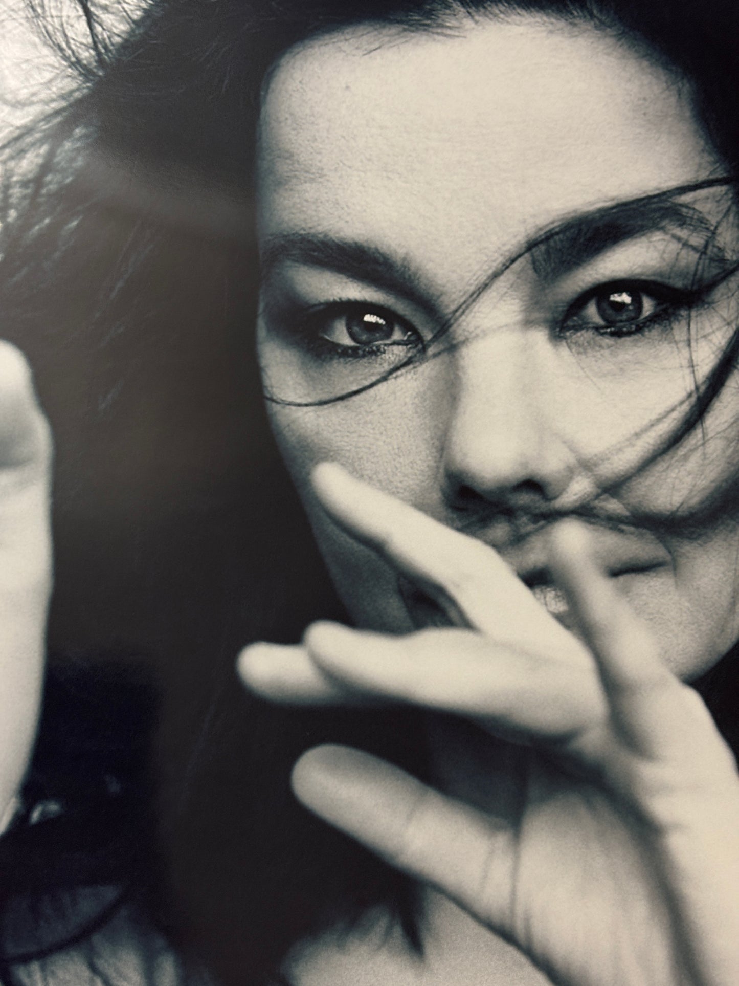 BJORK - PORTRAIT  - Symbios Design Rare Glossy Poster Print