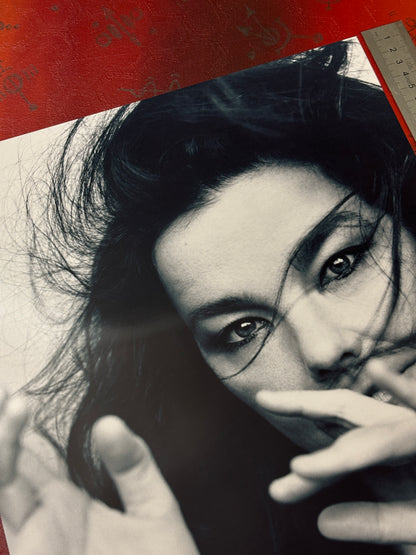 BJORK - PORTRAIT  - Symbios Design Rare Glossy Poster Print