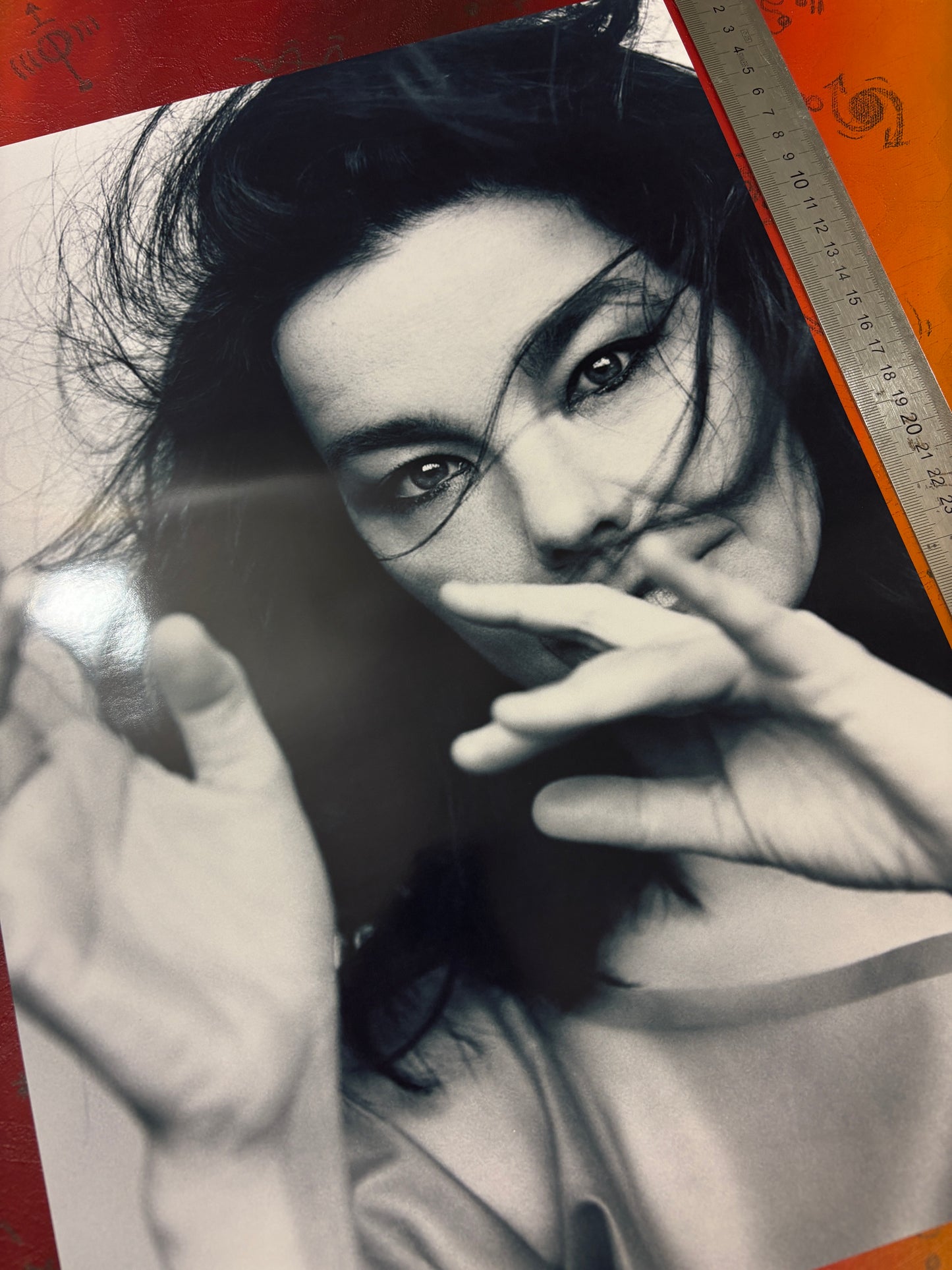 BJORK - PORTRAIT  - Symbios Design Rare Glossy Poster Print