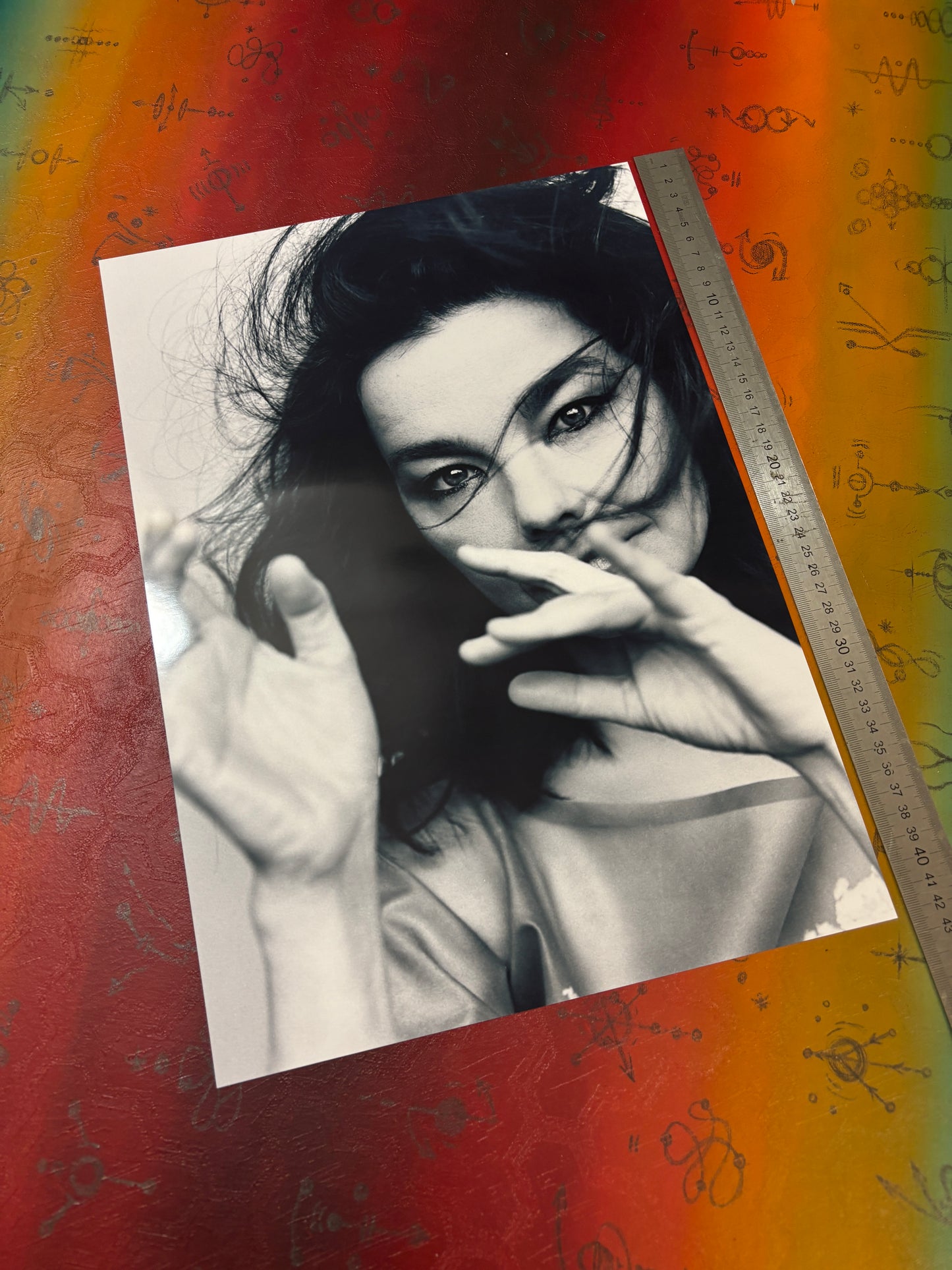 BJORK - PORTRAIT  - Symbios Design Rare Glossy Poster Print
