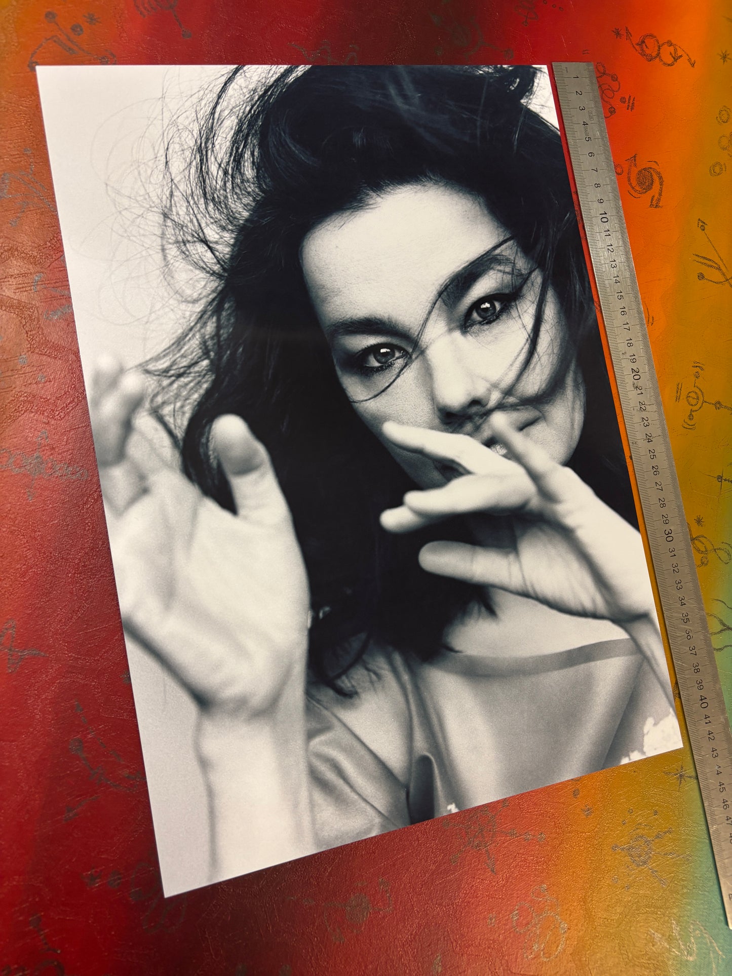 BJORK - PORTRAIT  - Symbios Design Rare Glossy Poster Print