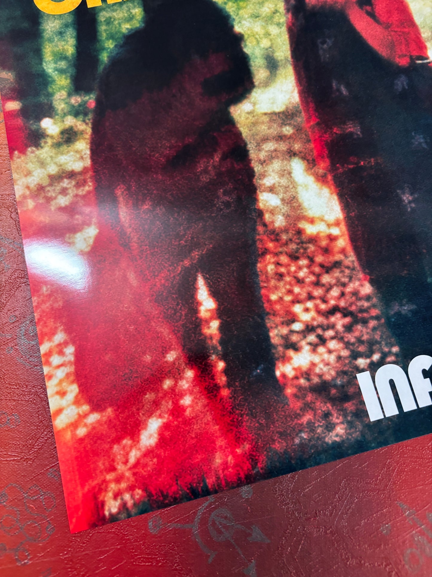 BOARDS OF CANADA - Symbios Design Rare Glossy Poster Print