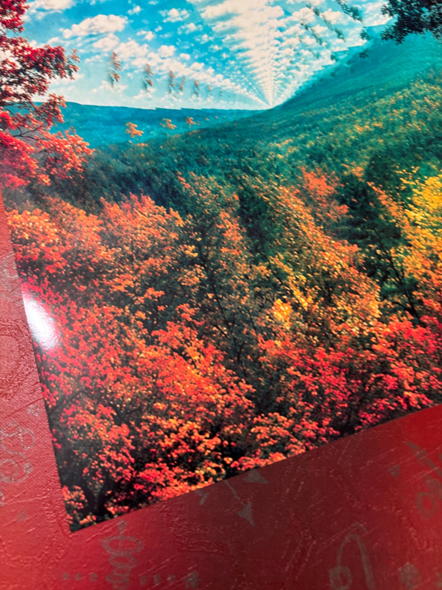 TAME IMPALA - INNERSPEAKER - Symbios Design Rare Glossy Poster Print
