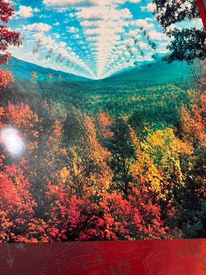 TAME IMPALA - INNERSPEAKER - Symbios Design Rare Glossy Poster Print