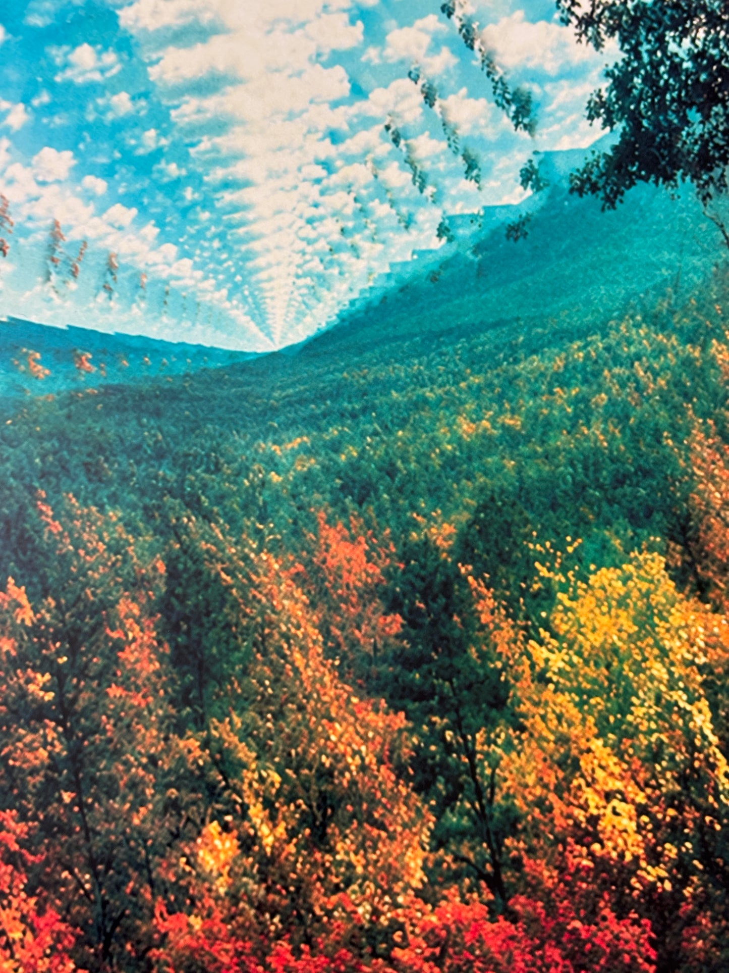 TAME IMPALA - INNERSPEAKER - Symbios Design Rare Glossy Poster Print