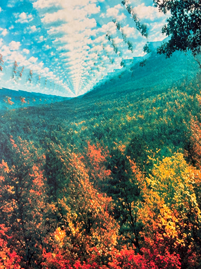 TAME IMPALA - INNERSPEAKER - Symbios Design Rare Glossy Poster Print