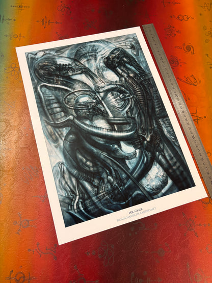 H.R. Giger - Biomechanische Landschaft - Symbios Design Rare Glossy Poster Print