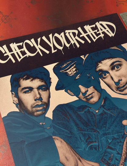BEASTIE BOYS - CHECK YOUR HEAD - Symbios Design Rare Glossy Poster Print