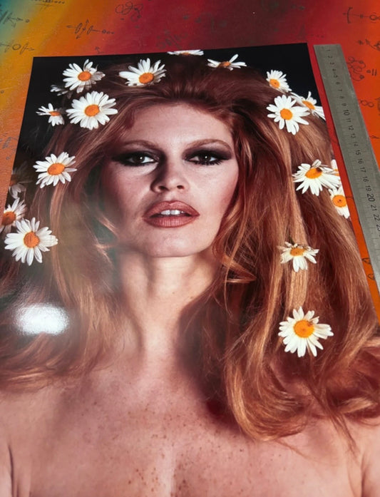 BRIGITTE BARDOT  - Symbios Design Rare Glossy Poster Print