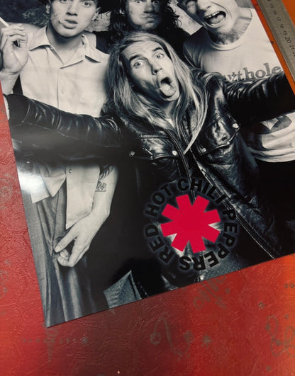 RED HOT CHILI PEPPERS - Symbios Design Rare Glossy Poster Print