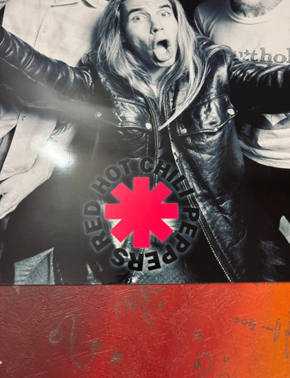 RED HOT CHILI PEPPERS - Symbios Design Rare Glossy Poster Print