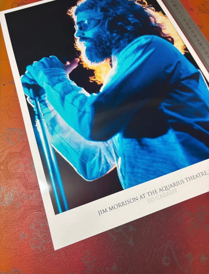 THE DOORS - JIM MORRISON - Symbios Design Rare Glossy Poster Print