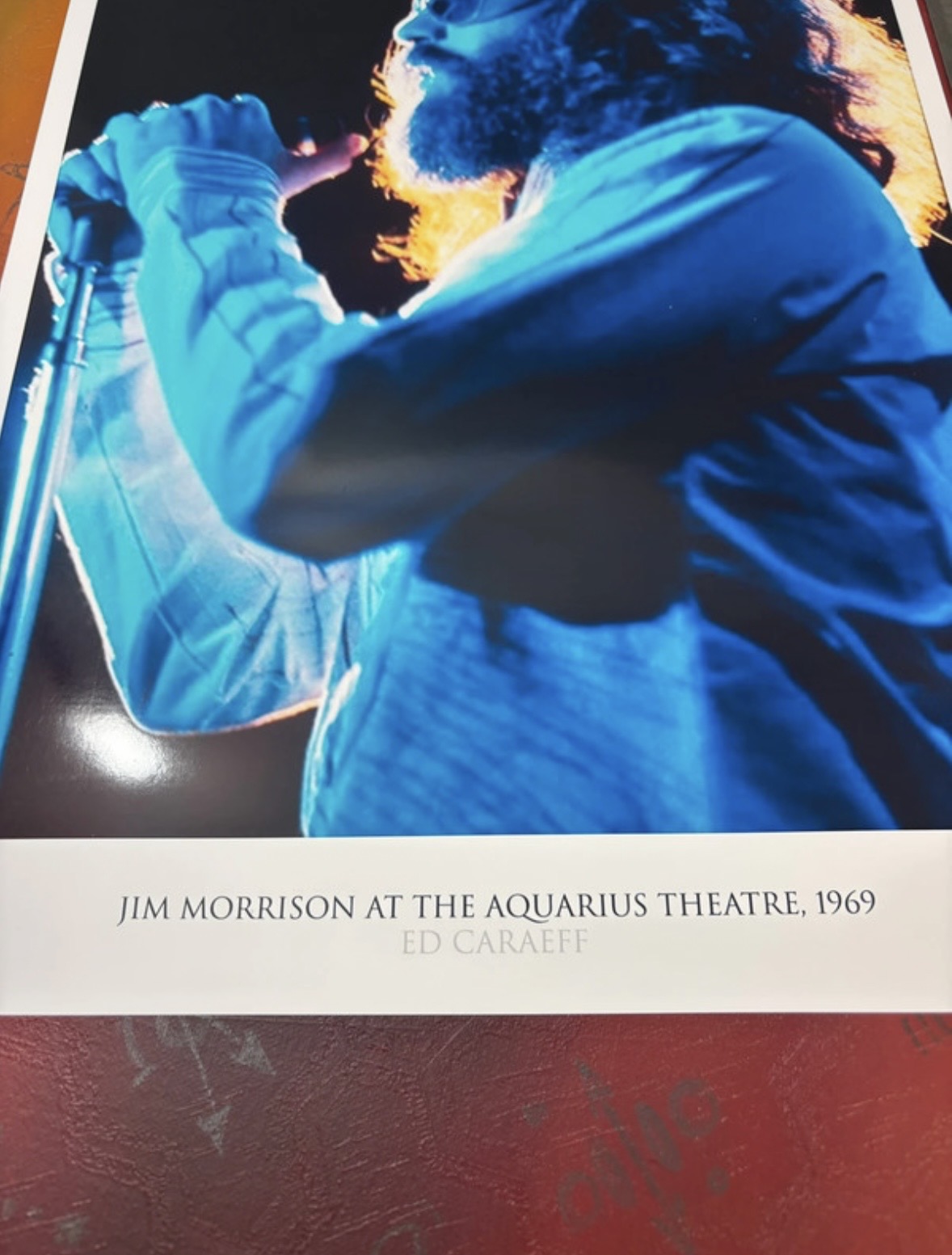 THE DOORS - JIM MORRISON - Symbios Design Rare Glossy Poster Print
