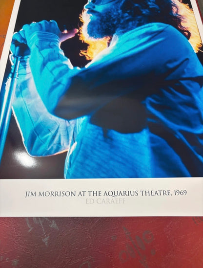 THE DOORS - JIM MORRISON - Symbios Design Rare Glossy Poster Print