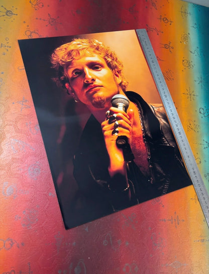 ALICE IN CHAINS - LAYNE STALEY - Symbios Design Rare Glossy Poster Print