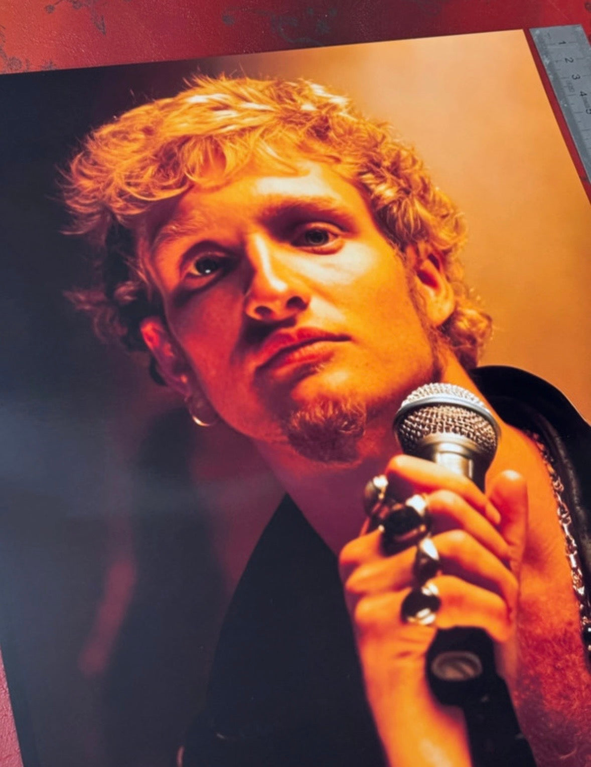 ALICE IN CHAINS - LAYNE STALEY - Symbios Design Rare Glossy Poster Print