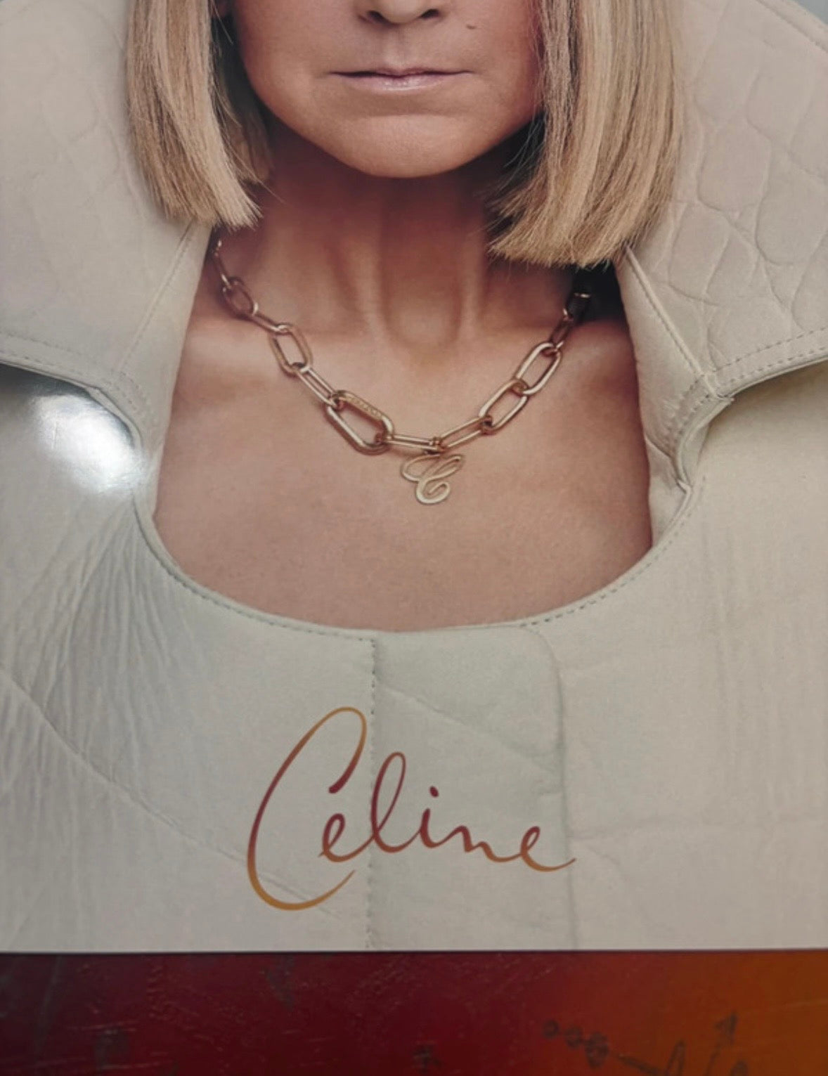 CELINE DION - PORTRAIT  - Symbios Design Rare Glossy Poster Print