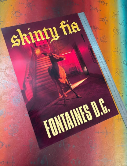 FONTAINES DC - SKINTY FIA - Symbios Design Rare Glossy Poster Print