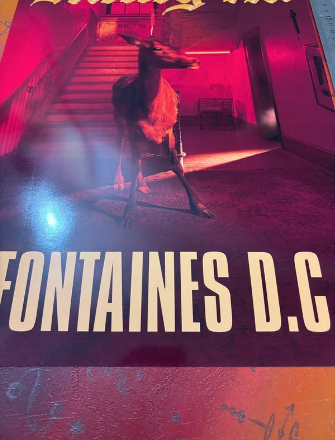 FONTAINES DC - SKINTY FIA - Symbios Design Rare Glossy Poster Print