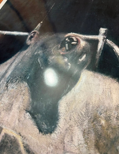 FRANCIS BACON - HEAD - Symbios Design Rare Glossy Poster Print