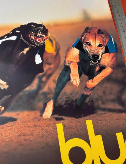 BLUR - PARKLIFE  - Symbios Design Rare Glossy Poster Print