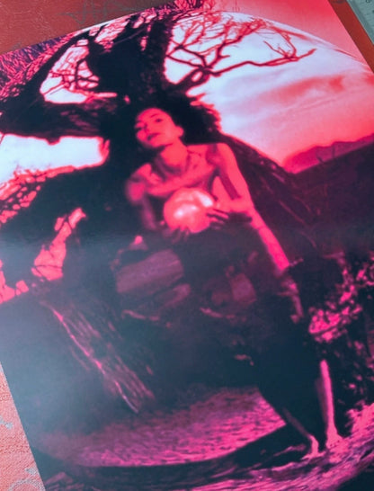 STONE TEMPLE PILOTS - CORE  - Symbios Design Rare Glossy Poster Print