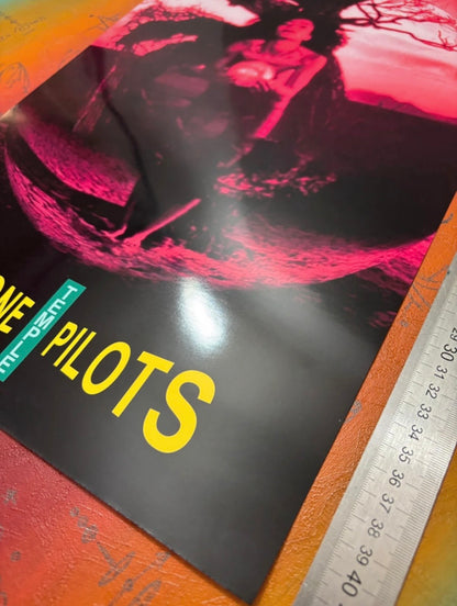 STONE TEMPLE PILOTS - CORE  - Symbios Design Rare Glossy Poster Print