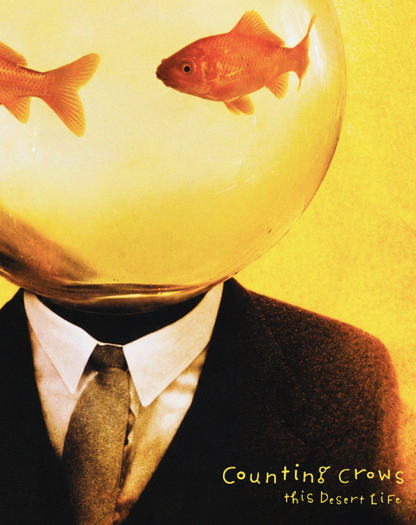 COUNTING CROWS - THIS DESERT LIFE - Symbios Design Rare Glossy Poster Print