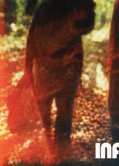 BOARDS OF CANADA - Symbios Design Rare Glossy Poster Print