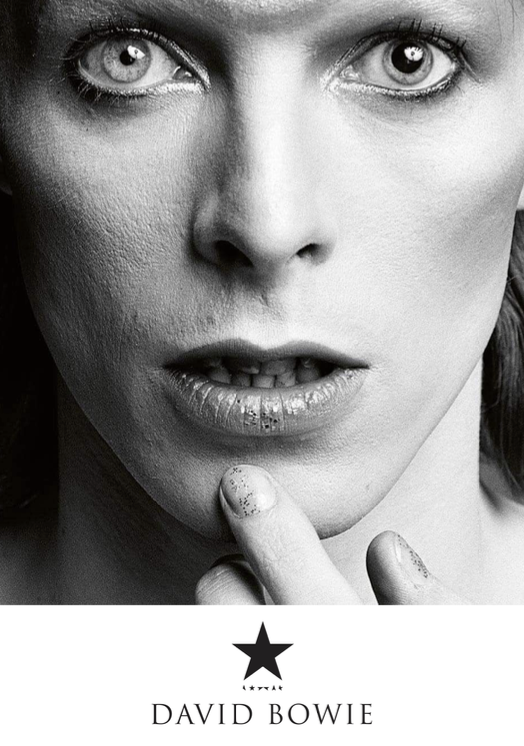 DAVID BOWIE  - Symbios Design Rare Glossy Poster Print