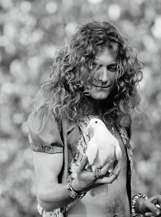 ROBERT PLANT - LED ZEPPELIN - Symbios Design Rare Glossy Poster Print