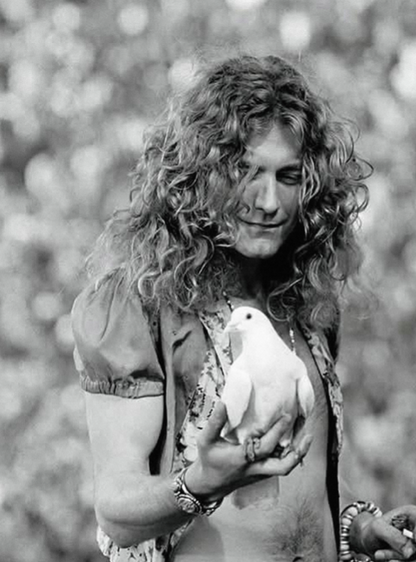 ROBERT PLANT - LED ZEPPELIN - Symbios Design Rare Glossy Poster Print
