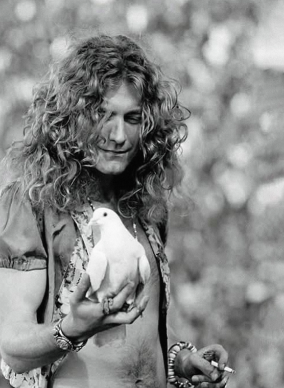 ROBERT PLANT - LED ZEPPELIN - Symbios Design Rare Glossy Poster Print