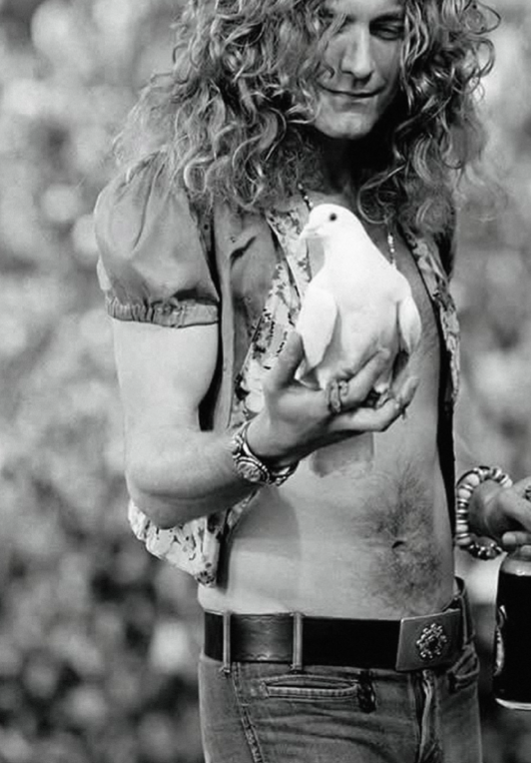 ROBERT PLANT - LED ZEPPELIN - Symbios Design Rare Glossy Poster Print