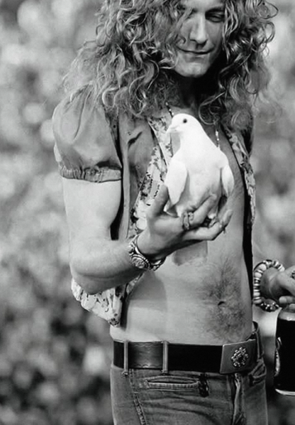 ROBERT PLANT - LED ZEPPELIN - Symbios Design Rare Glossy Poster Print
