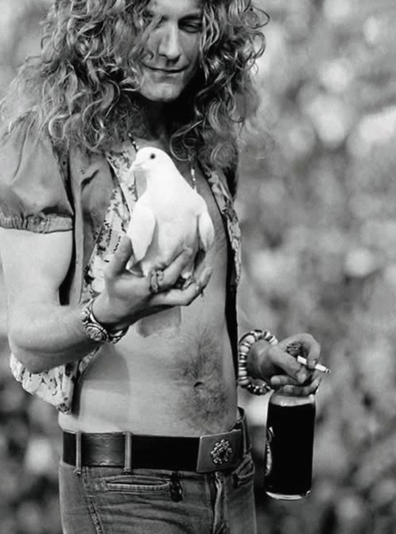ROBERT PLANT - LED ZEPPELIN - Symbios Design Rare Glossy Poster Print