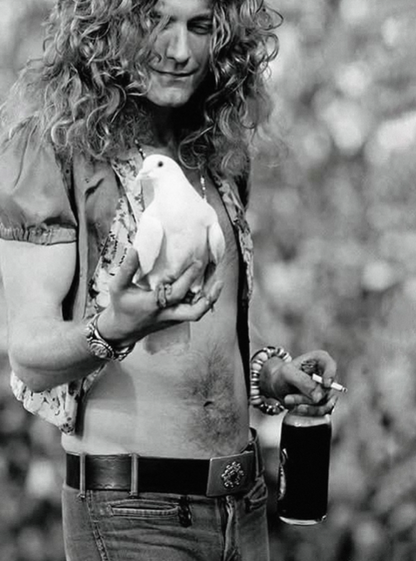 ROBERT PLANT - LED ZEPPELIN - Symbios Design Rare Glossy Poster Print