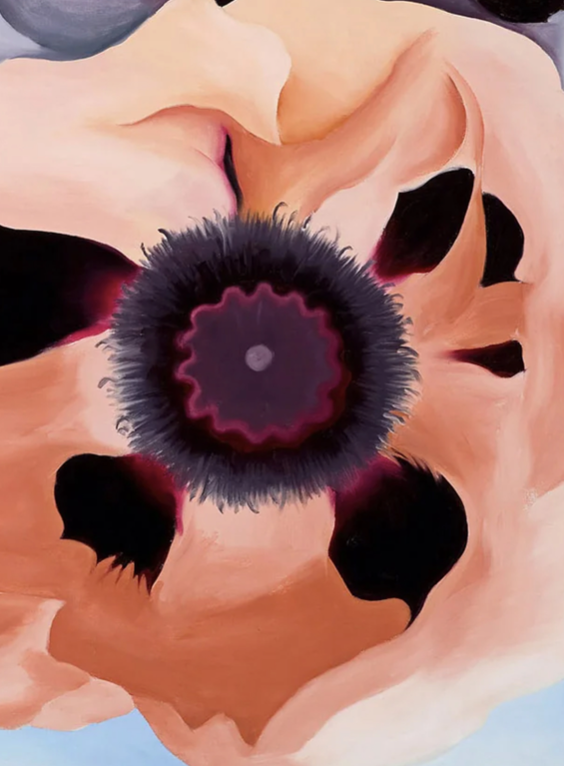 GEORGIA O'KEEFFE - POPPIES - Symbios Design Rare Glossy Poster Print