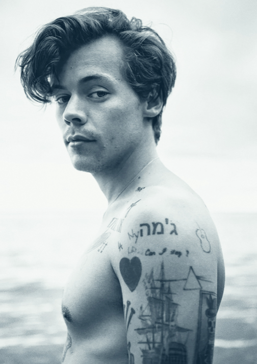 HARRY STYLES - PORTRAIT - Symbios Design Rare Glossy Poster Print