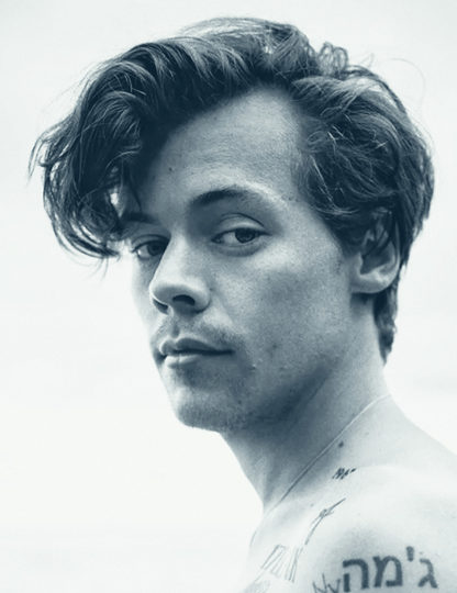HARRY STYLES - PORTRAIT - Symbios Design Rare Glossy Poster Print