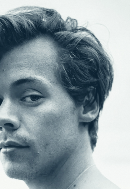 HARRY STYLES - PORTRAIT - Symbios Design Rare Glossy Poster Print