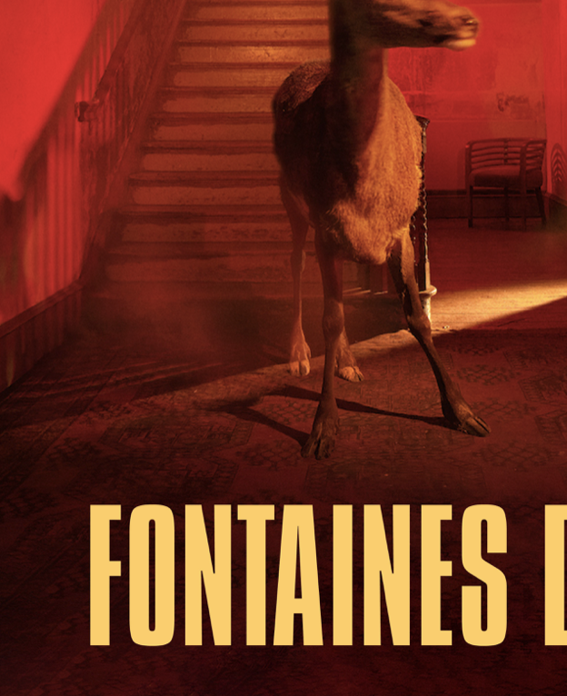 FONTAINES DC - SKINTY FIA - Symbios Design Rare Glossy Poster Print